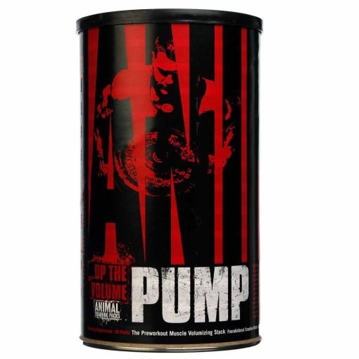 Pump