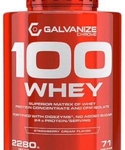 100 whey Galvanize