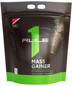 Rule One Mass Gainer